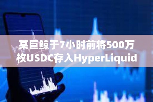 某巨鯨于7小時前將500萬枚USDC存入HyperLiquid以增持HYPE