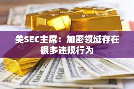美SEC主席：加密領域存在很多違規行為