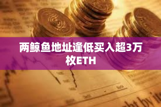 兩鯨魚地址逢低買入超3萬枚ETH