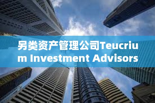 另類資產(chǎn)管理公司Teucrium Investment Advisors LLC推出與XRP掛鉤的杠桿型ETF