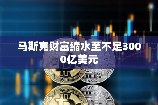 馬斯克財富縮水至不足3000億美元