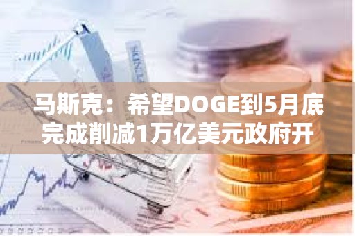 馬斯克：希望DOGE到5月底完成削減1萬億美元政府開支的任務