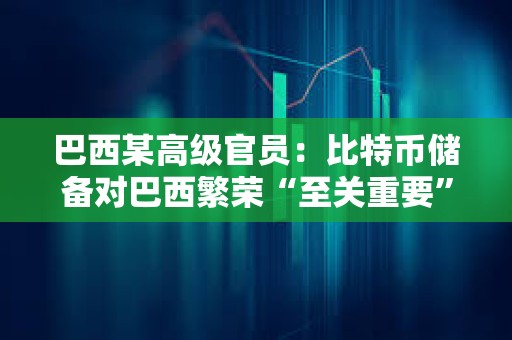 巴西某高級官員：比特幣儲備對巴西繁榮“至關重要”