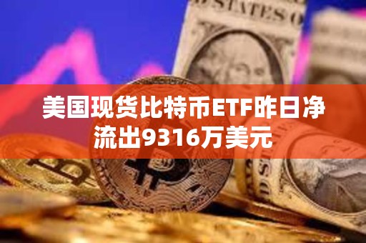 美國現貨比特幣ETF昨日凈流出9316萬美元