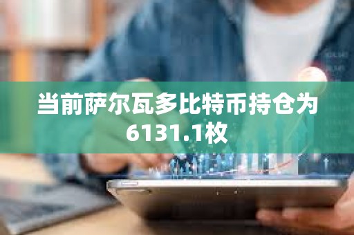 當前薩爾瓦多比特幣持倉為6131.1枚