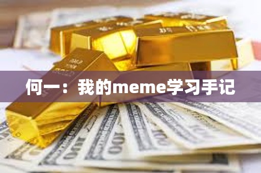 何一：我的meme學習手記