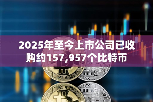 2025年至今上市公司已收購約157,957個比特幣