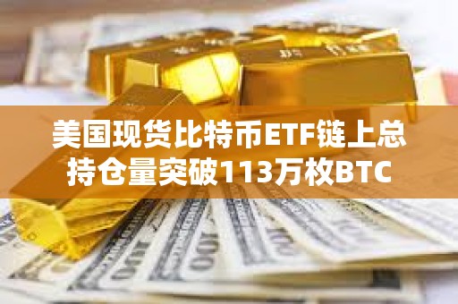 美國現貨比特幣ETF鏈上總持倉量突破113萬枚BTC