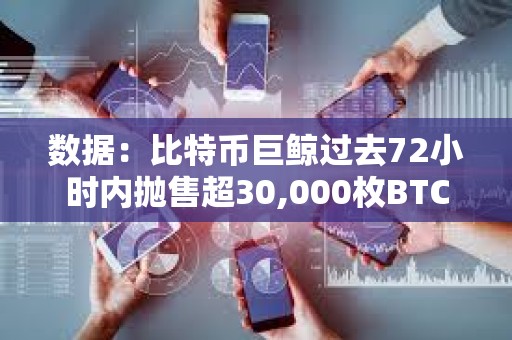 數據：比特幣巨鯨過去72小時內拋售超30,000枚BTC