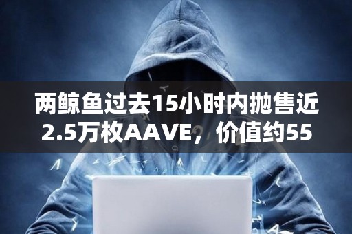 兩鯨魚過去15小時內拋售近2.5萬枚AAVE，價值約551萬美元