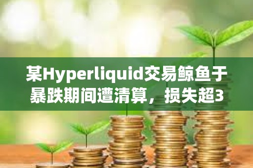 某Hyperliquid交易鯨魚于暴跌期間遭清算，損失超350萬美元
