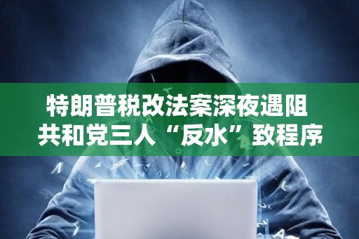 特朗普稅改法案深夜遇阻 共和黨三人“反水”致程序性表決陷僵局