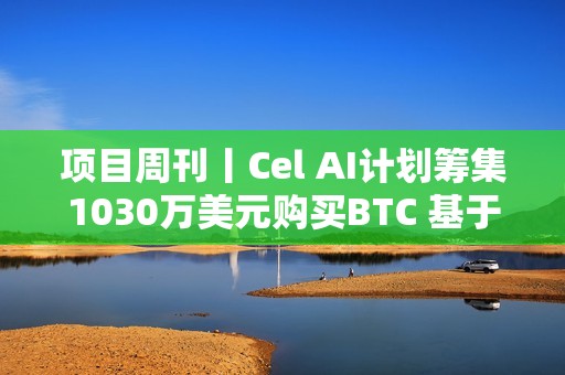 項目周刊丨Cel AI計劃籌集1030萬美元購買BTC 基于以太坊的穩定幣采用率創歷史新高