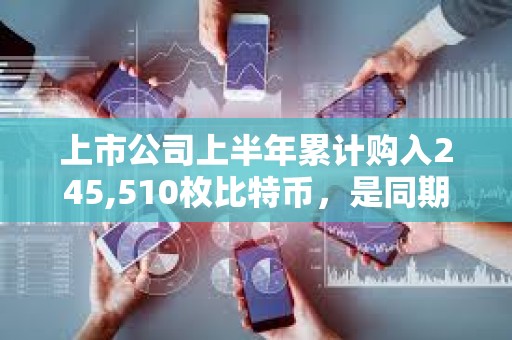 上市公司上半年累計購入245,510枚比特幣,是同期ETF購入量的兩倍多 上市公司上半年累計購入245,510枚比特幣,是同期ETF購入量的兩倍多