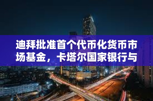 迪拜批準首個代幣化貨幣市場基金,卡塔爾國家銀行與DMZ Finance聯合推出 迪拜批準首個代幣化貨幣市場基金,卡塔爾國家銀行與DMZ Finance聯合推出
