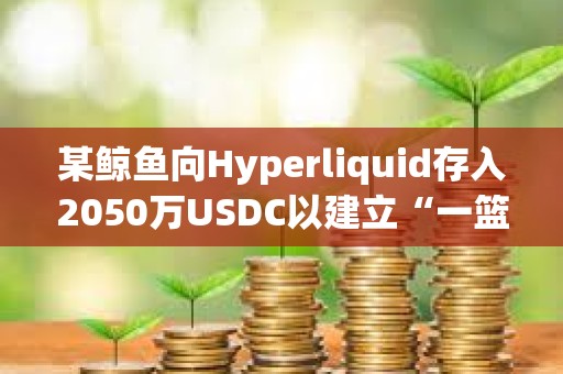 某鯨魚向Hyperliquid存入2050萬USDC以建立“一籃子”空頭倉位
