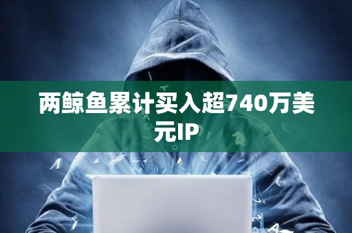 兩鯨魚累計買入超740萬美元IP