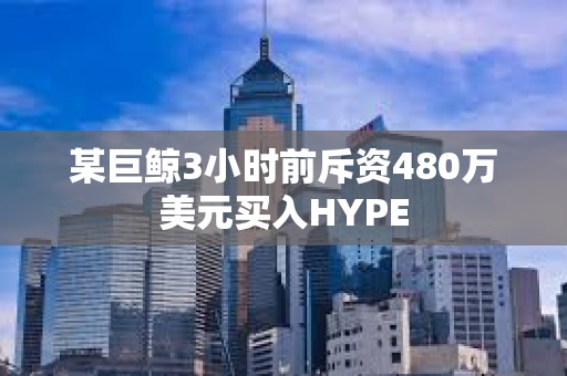 某巨鯨3小時(shí)前斥資480萬美元買入HYPE