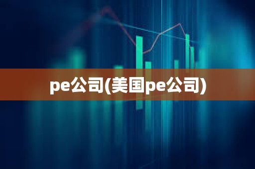 pe公司(美國(guó)pe公司) pe公司(美國(guó)pe公司)