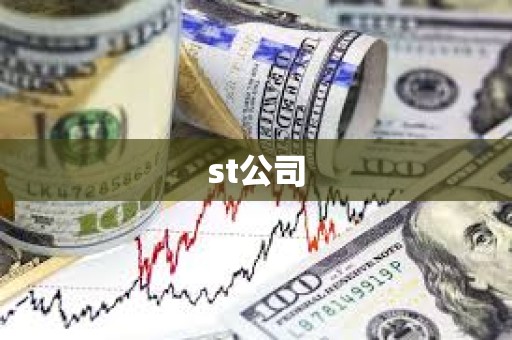 st公司 st公司