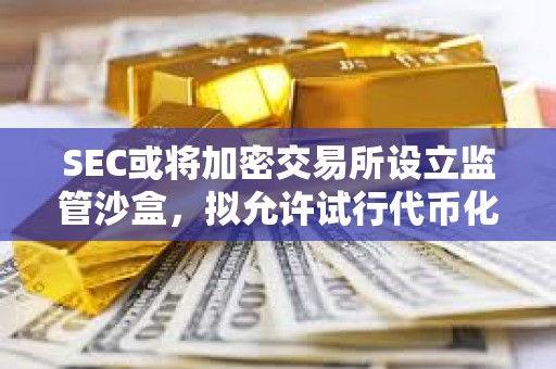 SEC或將加密交易所設立監管沙盒，擬允許試行代幣化證券交易