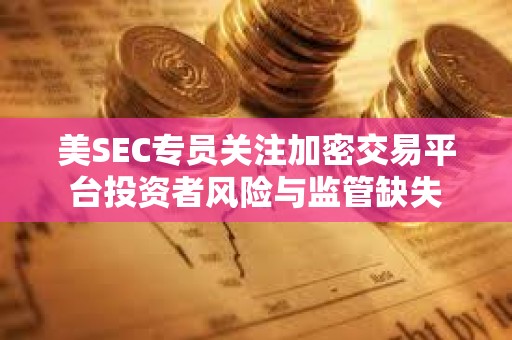 美SEC專員關注加密交易平臺投資者風險與監管缺失
