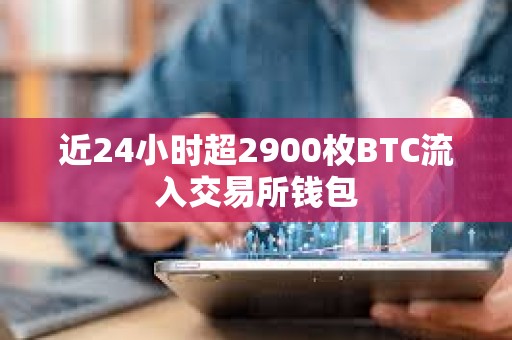 近24小時超2900枚BTC流入交易所錢包