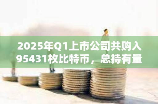 2025年Q1上市公司共購(gòu)入95431枚比特幣，總持有量達(dá)68.8萬(wàn)枚