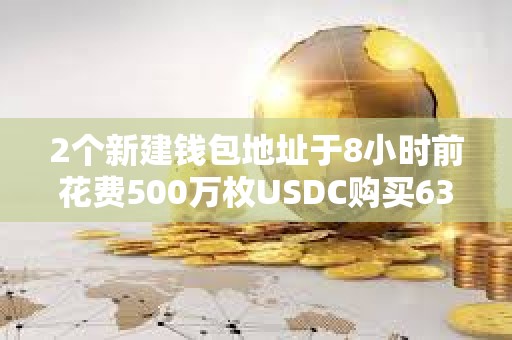 2個(gè)新建錢包地址于8小時(shí)前花費(fèi)500萬枚USDC購買630,339枚TRUMP
