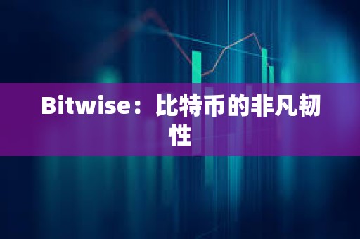 Bitwise：比特幣的非凡韌性