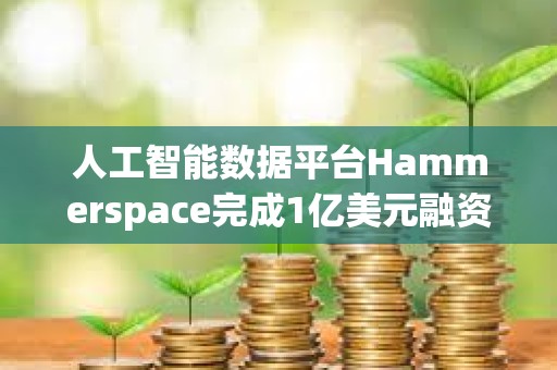 人工智能數(shù)據(jù)平臺Hammerspace完成1億美元融資，Altimeter Capital和ARK Invest領(lǐng)投