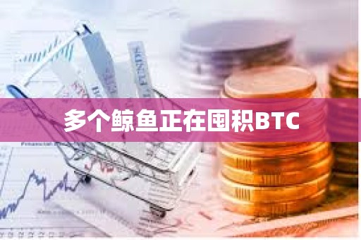 多個鯨魚正在囤積BTC