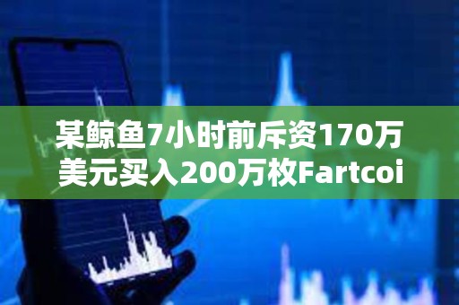 某鯨魚7小時前斥資170萬美元買入200萬枚Fartcoin