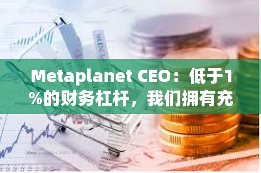 Metaplanet CEO：低于1%的財務杠桿，我們擁有充足的空間來執行下一階段的戰略