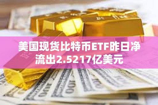 美國現(xiàn)貨比特幣ETF昨日凈流出2.5217億美元