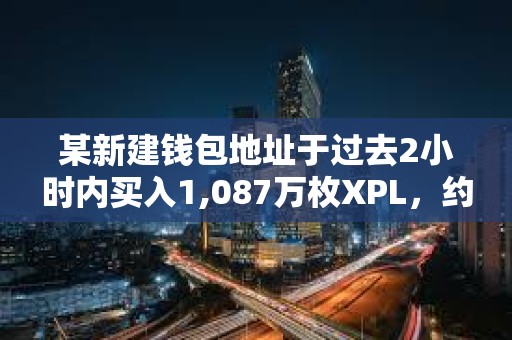某新建錢包地址于過去2小時內買入1,087萬枚XPL，約合1,360萬美元