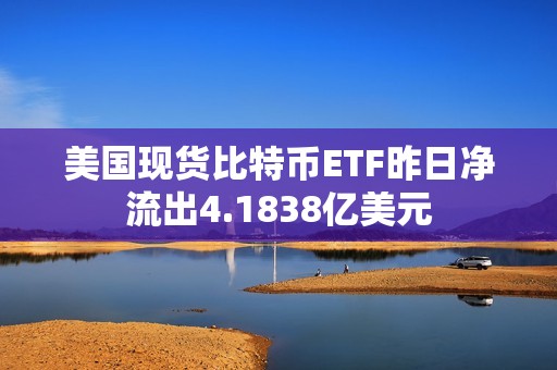 美國現(xiàn)貨比特幣ETF昨日凈流出4.1838億美元