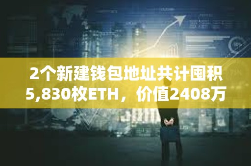 2個新建錢包地址共計囤積5,830枚ETH，價值2408萬美元