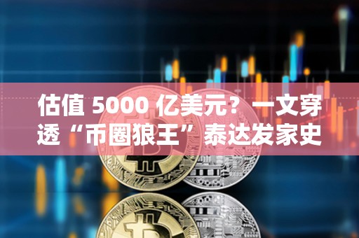 估值 5000 億美元？一文穿透“幣圈狼王”泰達發家史