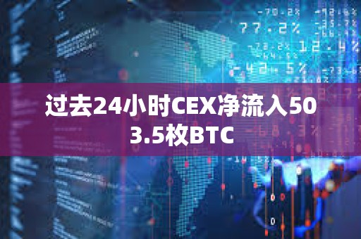 過(guò)去24小時(shí)CEX凈流入503.5枚BTC