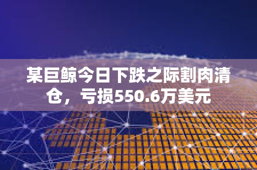 某巨鯨今日下跌之際割肉清倉，虧損550.6萬美元