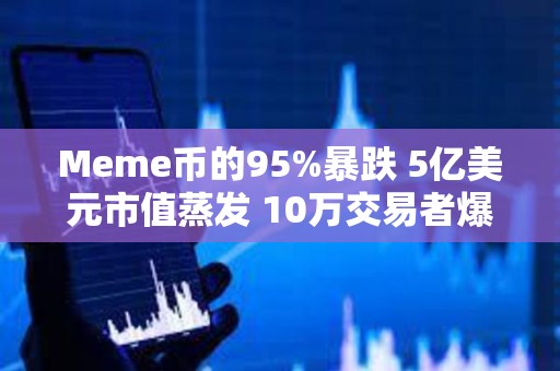 Meme幣的95%暴跌 5億美元市值蒸發 10萬交易者爆倉