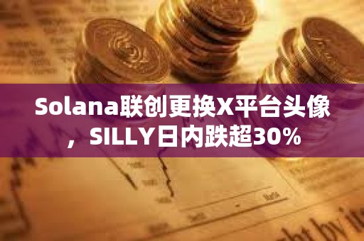 Solana聯創更換X平臺頭像,SILLY日內跌超30% Solana聯創更換X平臺頭像,SILLY日內跌超30%