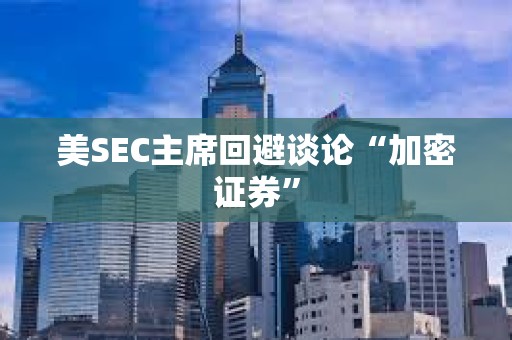 美SEC主席回避談論“加密證券”
