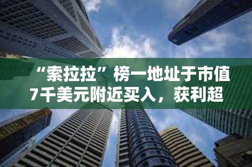 “索拉拉”榜一地址于市值7千美元附近買入，獲利超2650倍