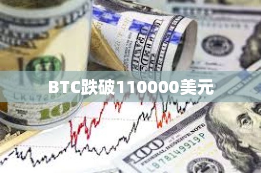 BTC跌破110000美元