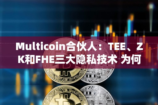 Multicoin合伙人：TEE、ZK和FHE三大隱私技術 為何我更看好FHE