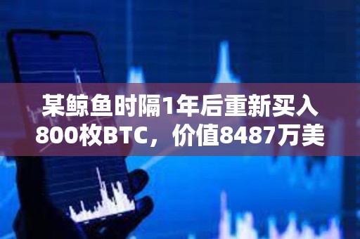 某鯨魚時隔1年后重新買入800枚BTC，價值8487萬美元