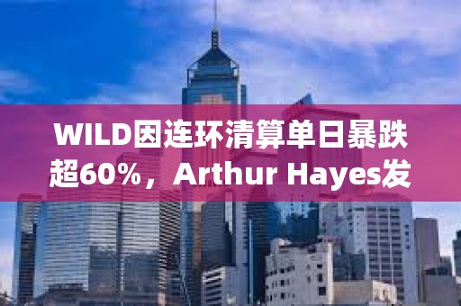 WILD因連環清算單日暴跌超60%，Arthur Hayes發文表示已抄底