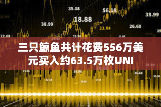 三只鯨魚(yú)共計(jì)花費(fèi)556萬(wàn)美元買入約63.5萬(wàn)枚UNI 三只鯨魚(yú)共計(jì)花費(fèi)556萬(wàn)美元買入約63.5萬(wàn)枚UNI